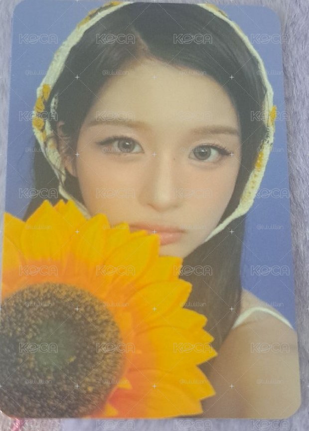 向日葵 薛
