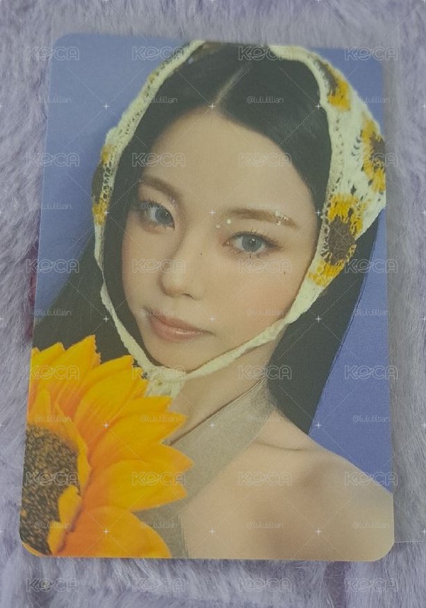 向日葵 圭