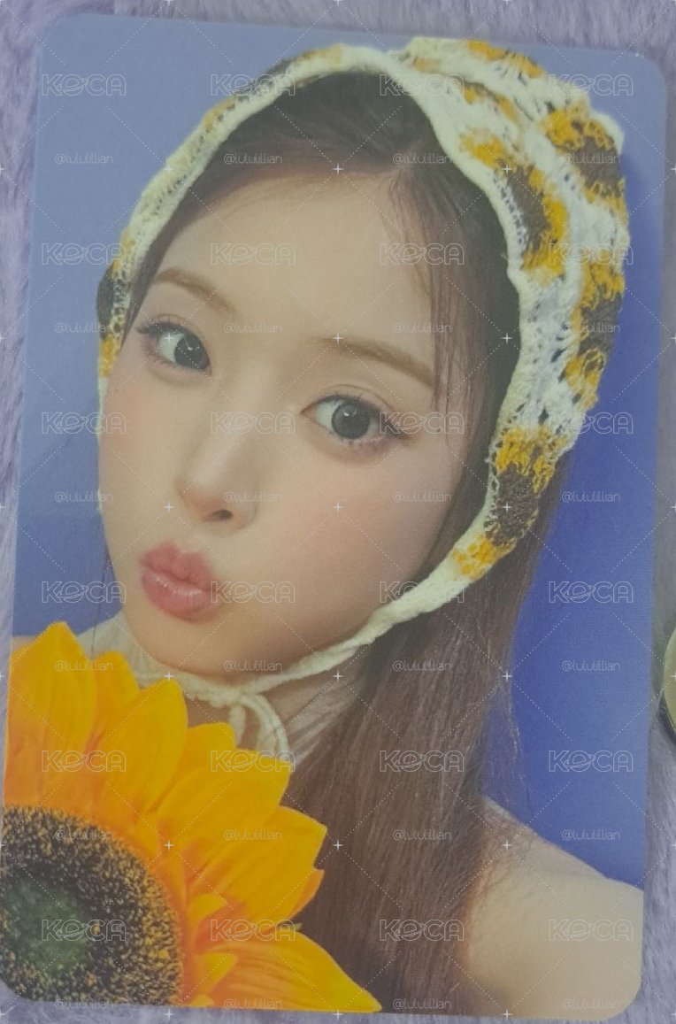 向日葵 啾