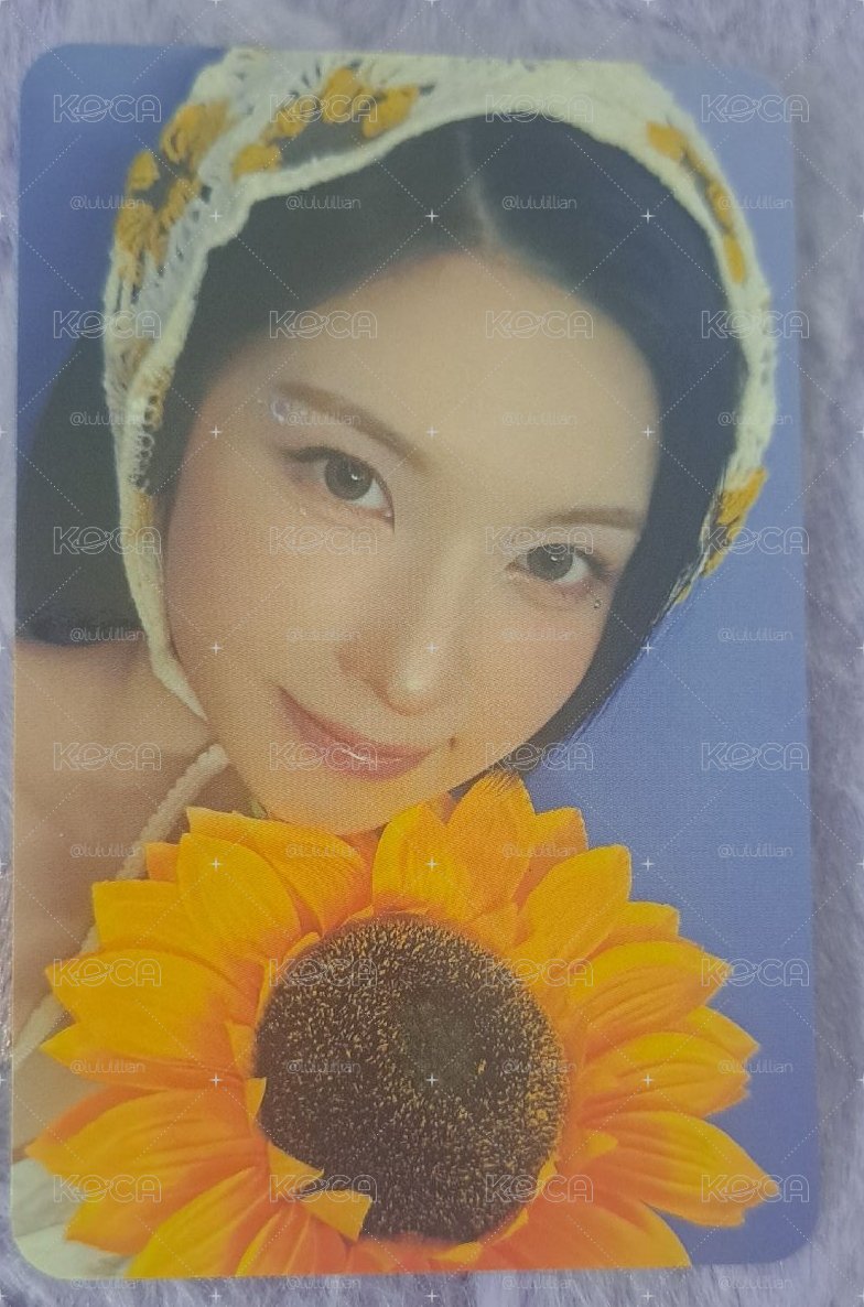 向日葵 裴