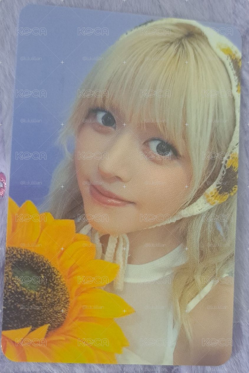 向日葵 莉