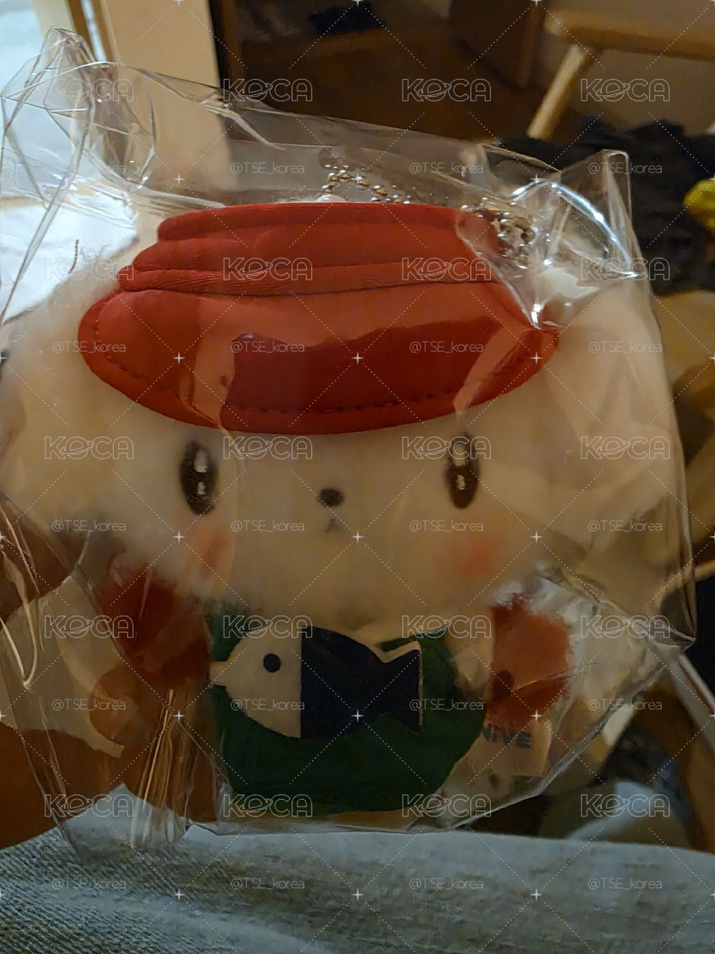 釜山限定安