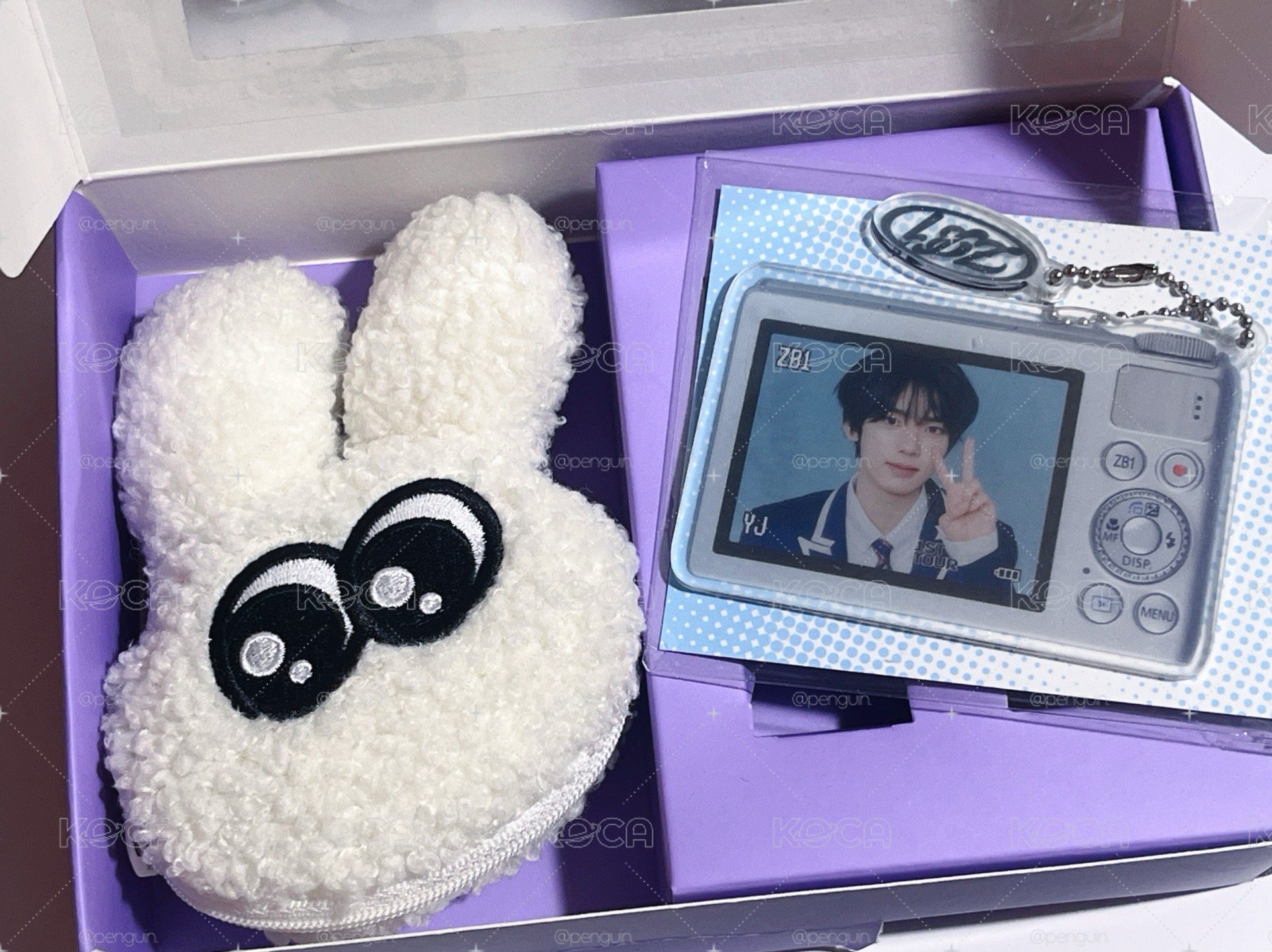辰物🐰