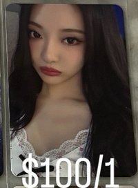 ms美美寧