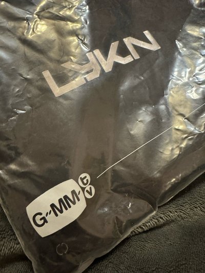 T恤 LYKN WORLD TOUR T-SHIRT 世巡T 尺寸2號