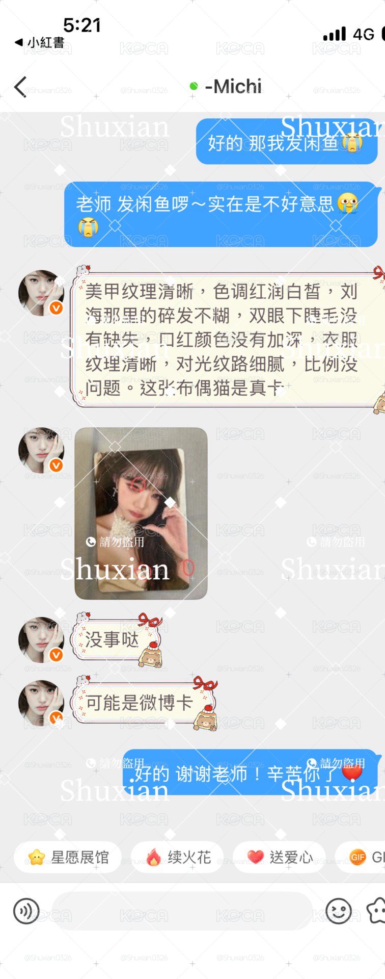 10.21布偶貓元（有michi鑒定）