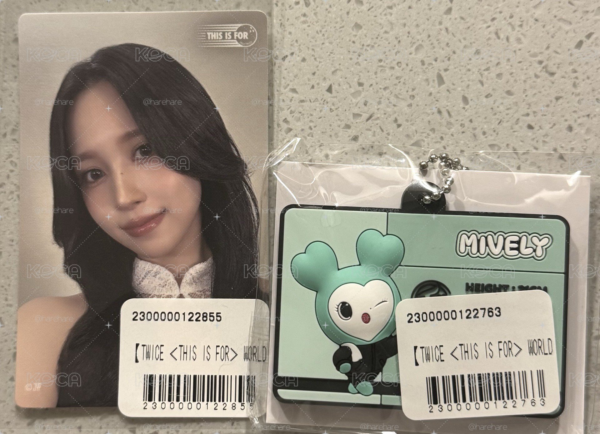 南全套 旗子+吊飾+小卡貼紙