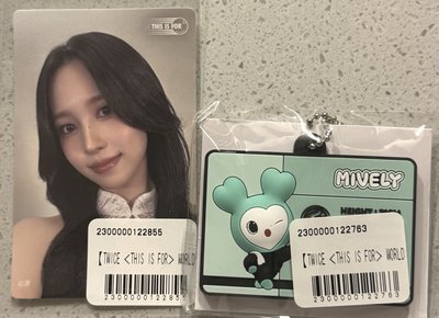 南全套 旗子+吊飾+小卡貼紙