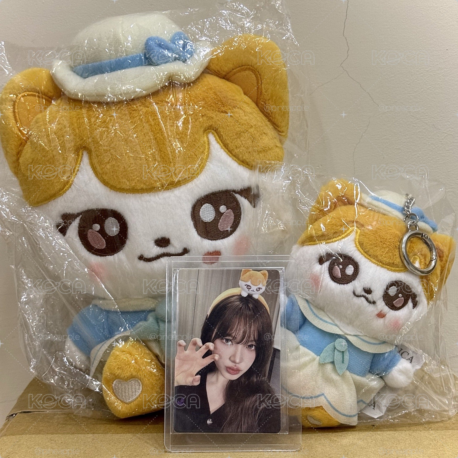 愛寶01、02娃+栗滿額一張