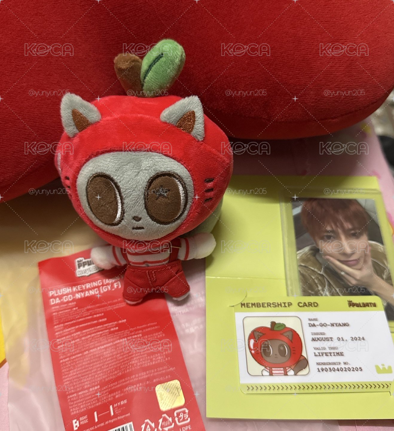 🍎松喵喵