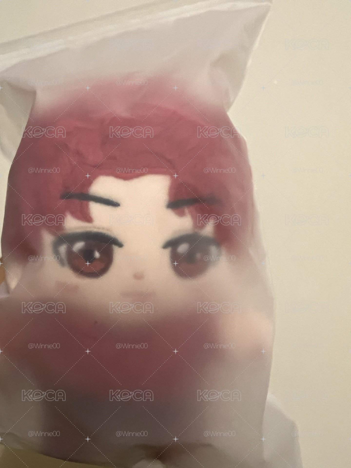Ozone周邊娃