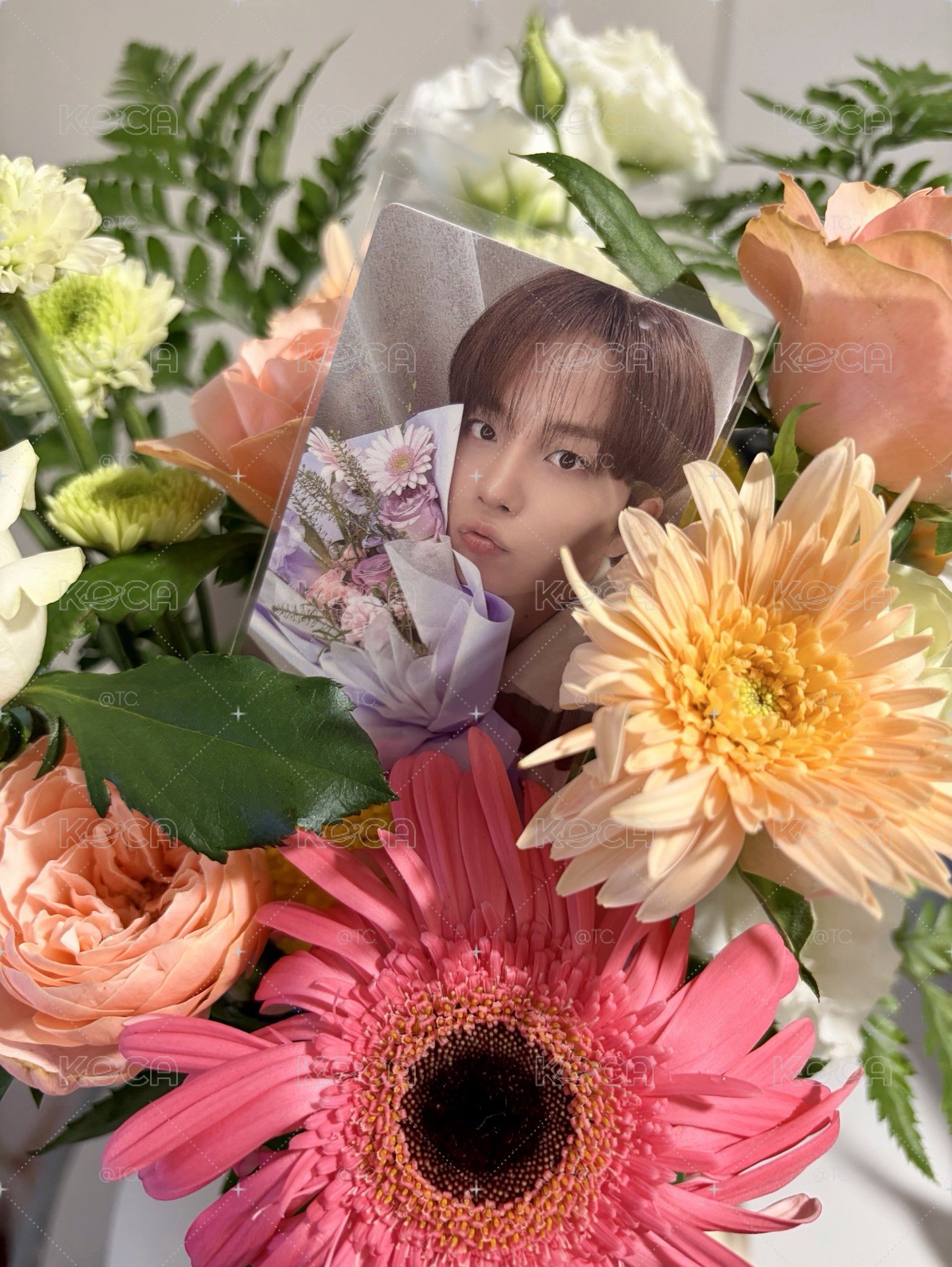 GH5 單人封（未拆）+花束特典卡｜鍾