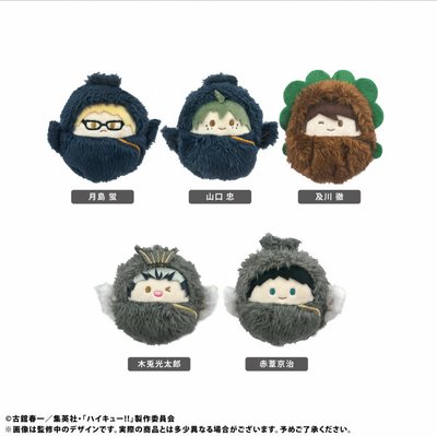 排球少年TAPIOCA 睡袋寶寶娃 掌心動物布偶裝娃娃 襁褓娃 月島瑩 山口忠 及川徹 木兔光太郎 赤葦京治