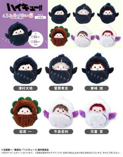 排球少年TAPIOCA 睡袋襁褓寶寶娃 掌心動物布偶裝娃娃vol.3 東峰旭 岩泉一 烏野 青葉城西 抱盒特典 孤爪研磨