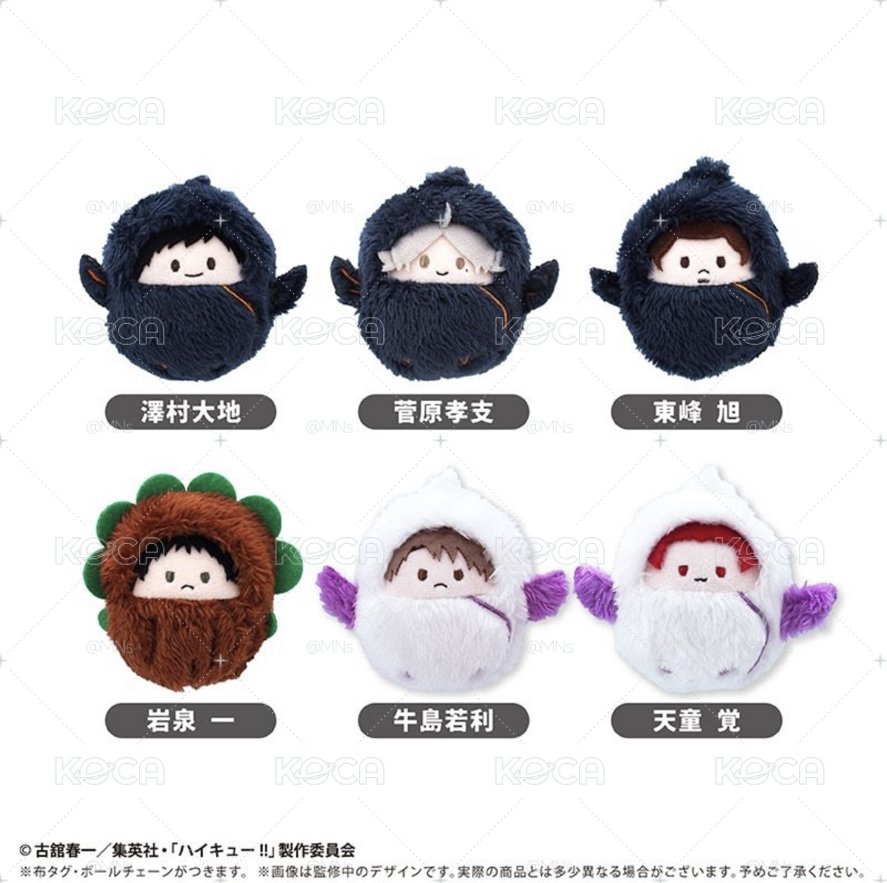 排球少年TAPIOCA 睡袋襁褓寶寶娃 掌心動物布偶裝娃娃vol.3 東峰旭 岩泉一 烏野 青葉城西 抱盒特典 孤爪研磨
