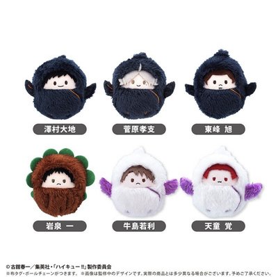排球少年TAPIOCA 睡袋襁褓寶寶娃 掌心動物布偶裝娃娃vol.3 東峰旭 岩泉一 烏野 青葉城西 抱盒特典 孤爪研磨