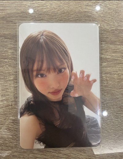 娜璉盤 圖1-15