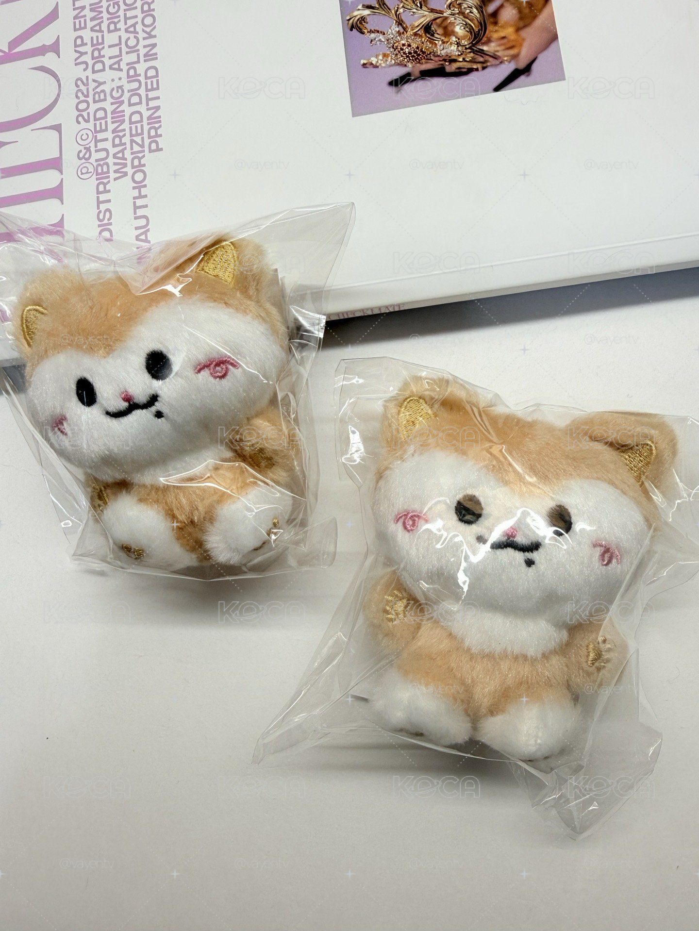 現貨 三巡 BABY TWINZY 坐姿 吊娃 領