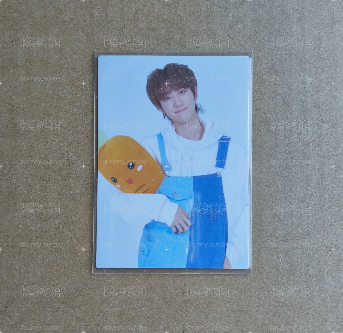 SEVENTEEN THE 8 HARU隨機卡