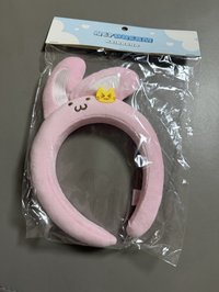 髮飾 愛寶樂園 髮飾