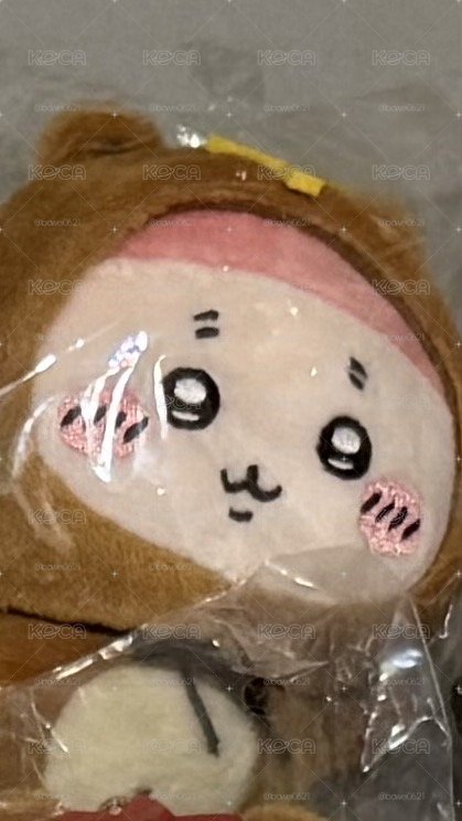狸貓C賞 古本吊飾