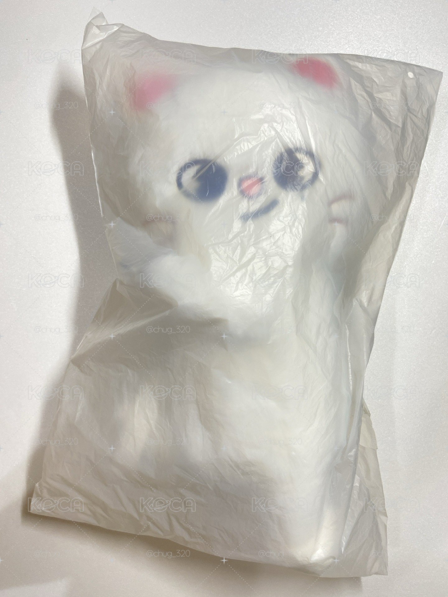 安可場側背娃 辰