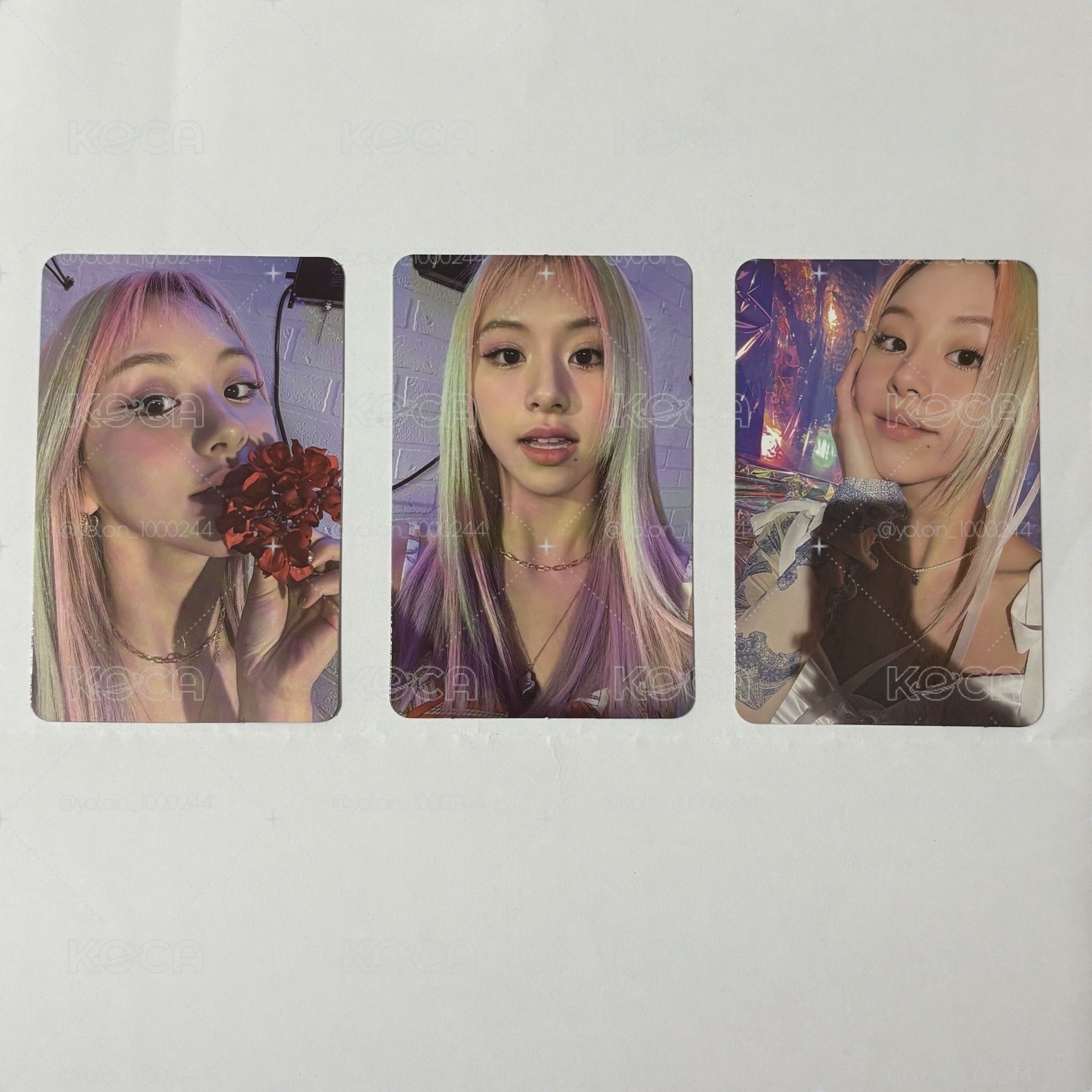 彩瑛區（整圖不拆）
