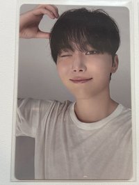 DxS專卡熊耳寛