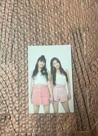 分隊卡-狗狗姐妹