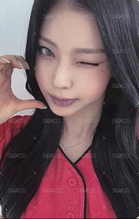 圭