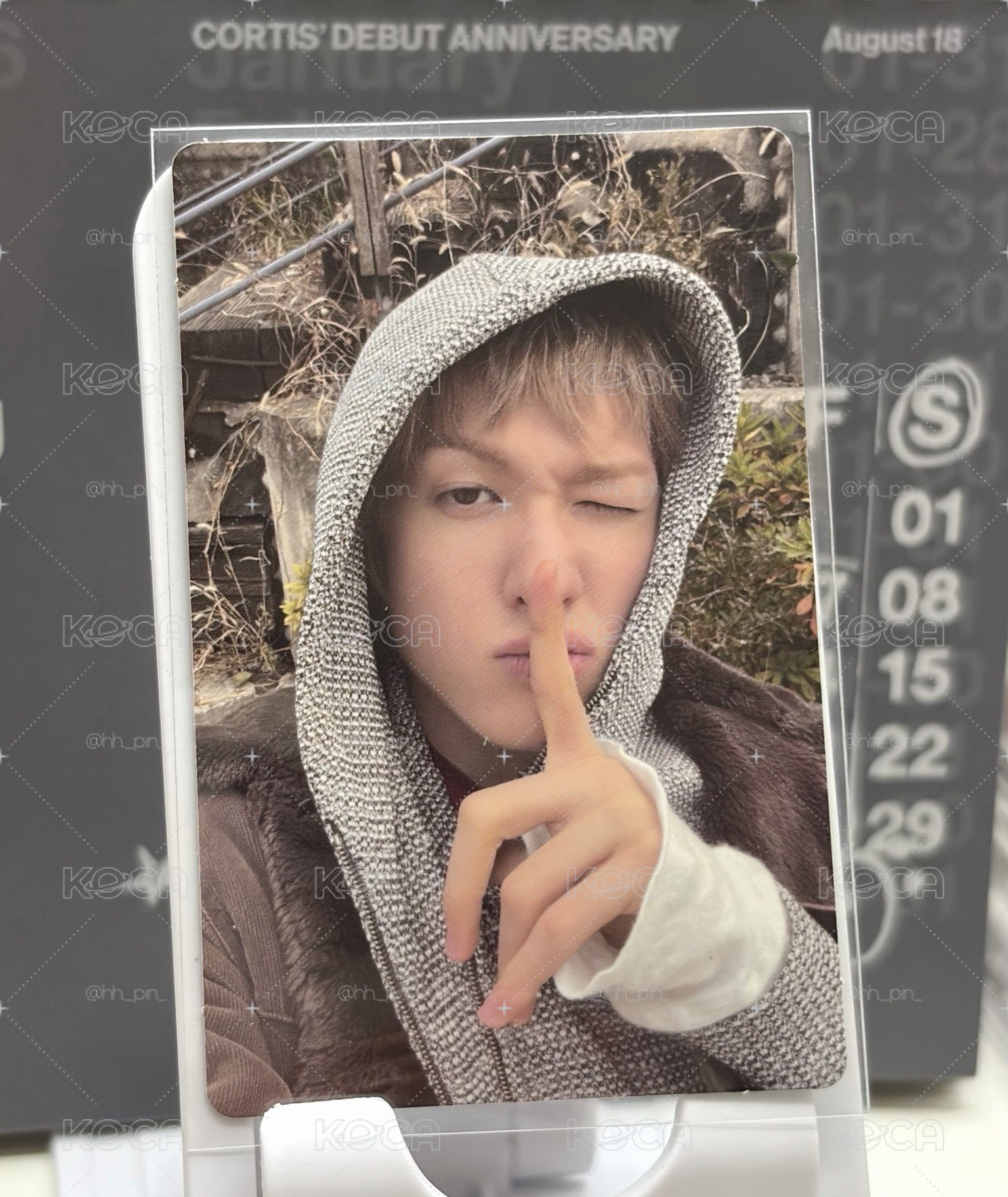 迷二黑膠馬