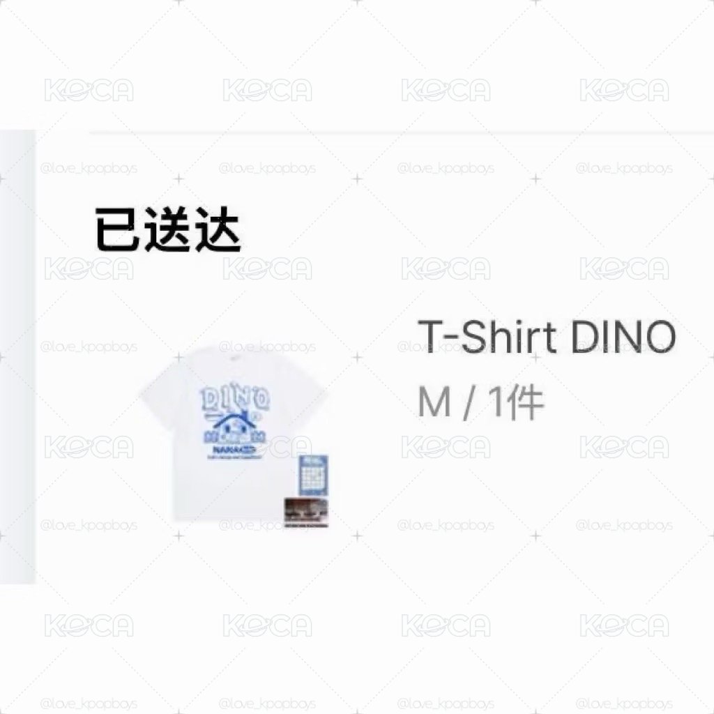 seventeen nanabnb DINO周邊商品全新未拆