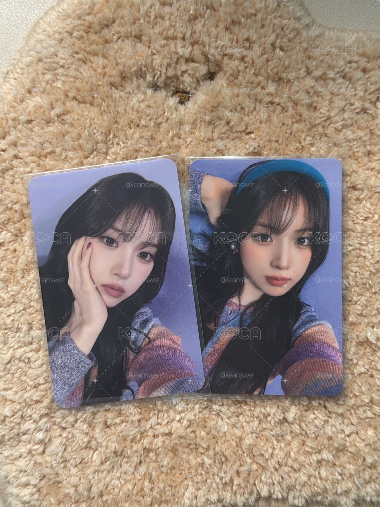 💙紫牆友