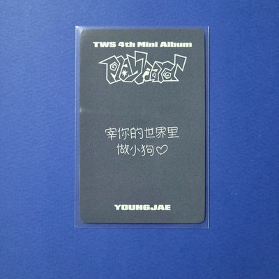 中文卡背3