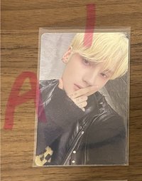 A1
