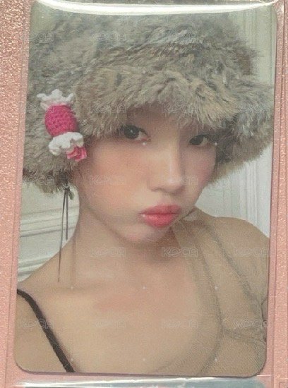 毛帽