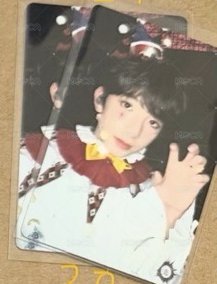 貓爪