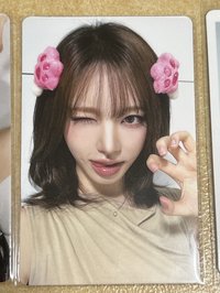 LD/栗