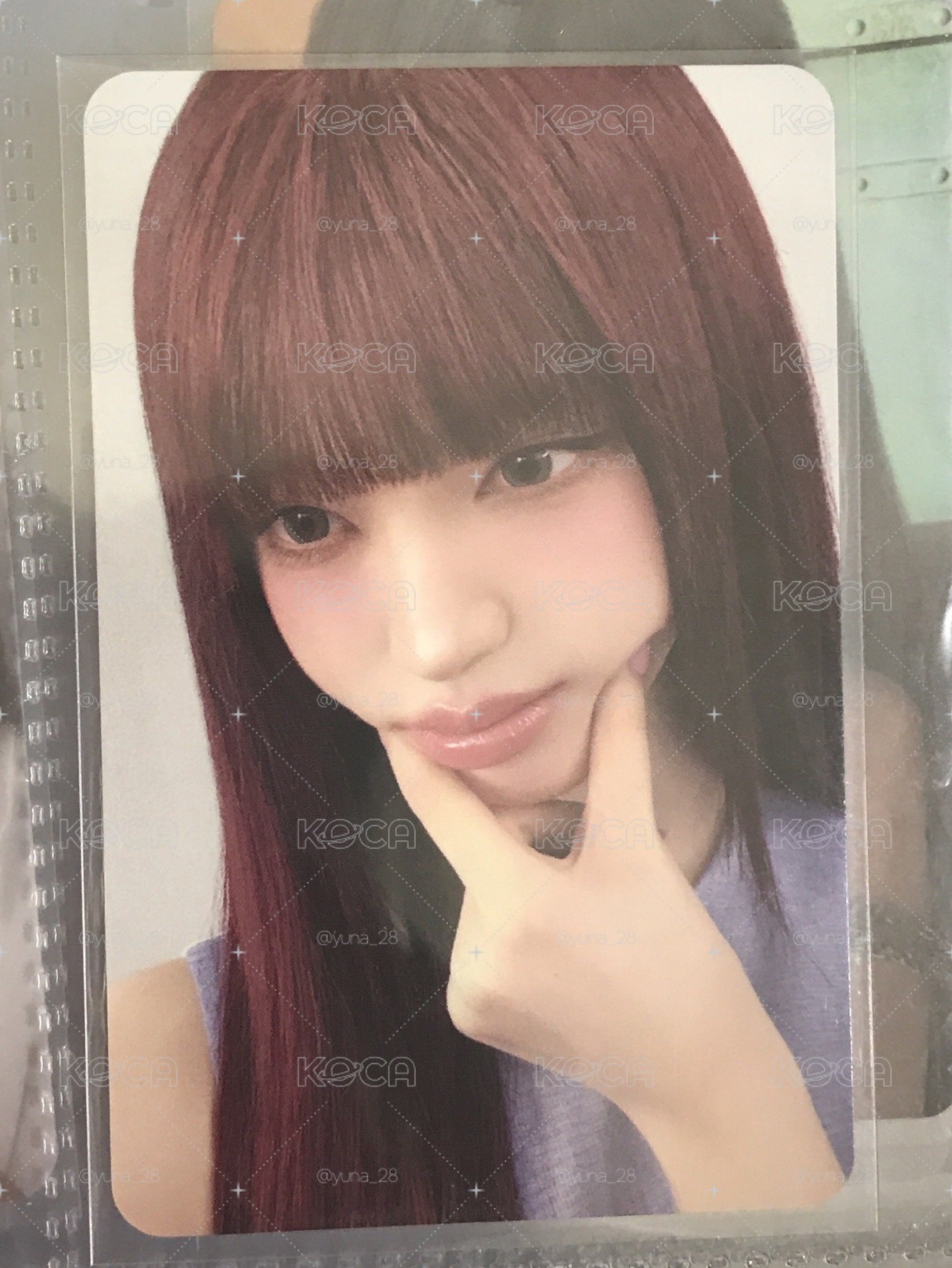 liz 星船特典