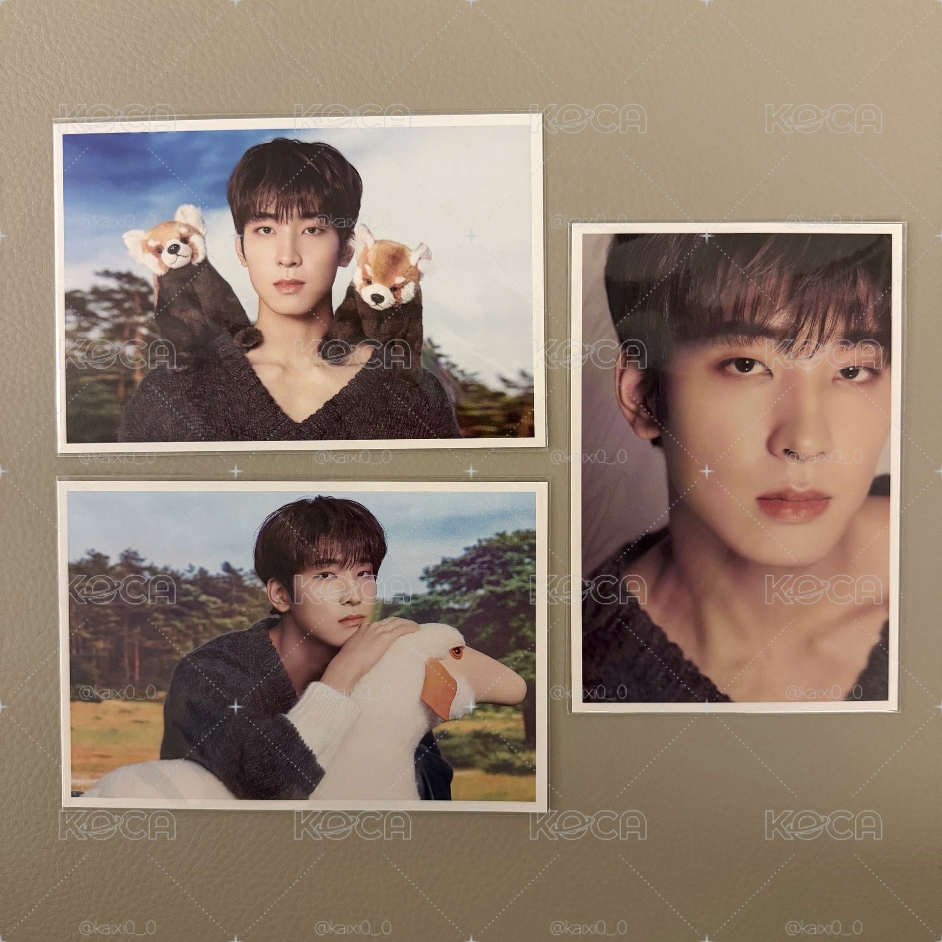 D社台北展場 D'FESTA 寫真明信片SEVENTEEN 全圓佑