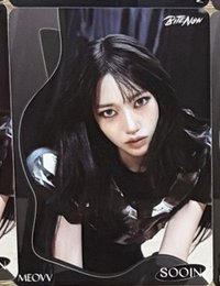 TELECA 收藏卡 MEOVV-B-022