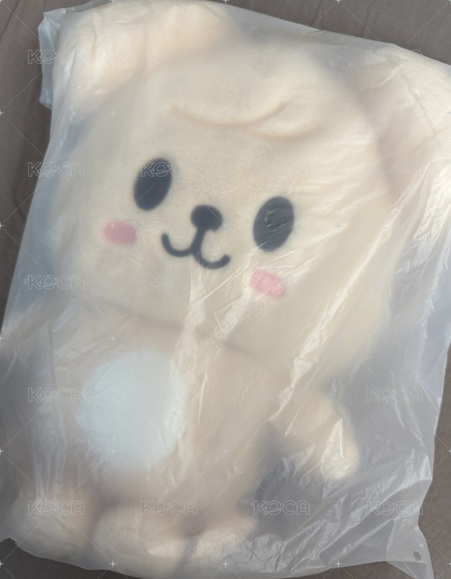 ⚐˒˒帕皮後背包