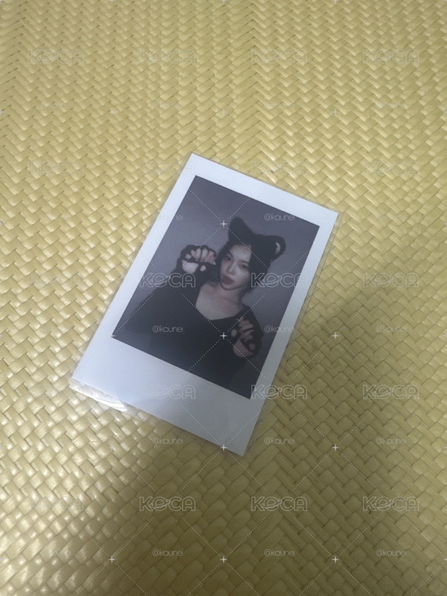 貓抓拍 Ian
