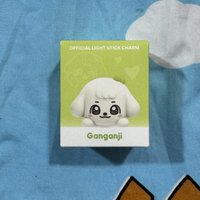 員手燈裝飾