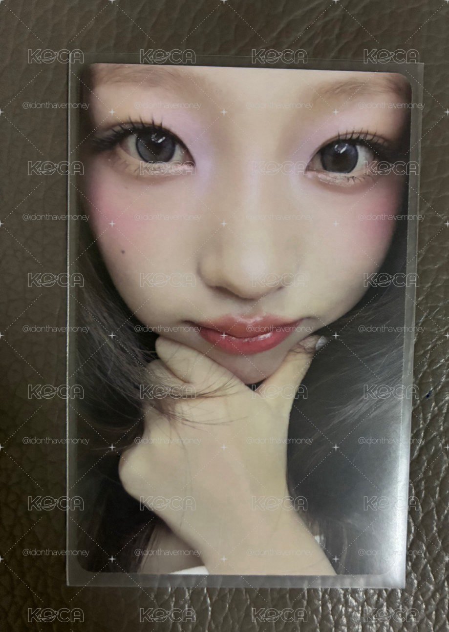 Stella Focus 專卡