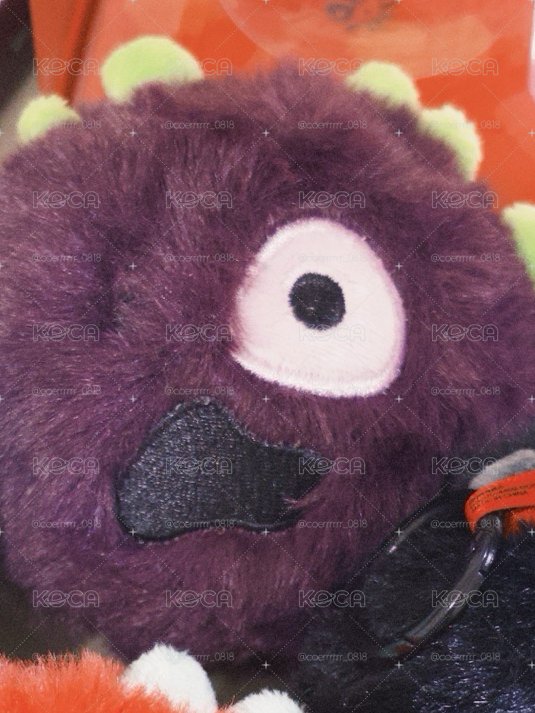 我是AÇAÍ 全專呀 快來把我帶回家😝💜