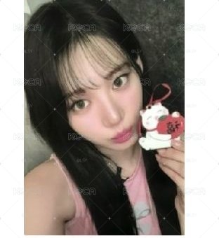 福袋茶 中文卡背
