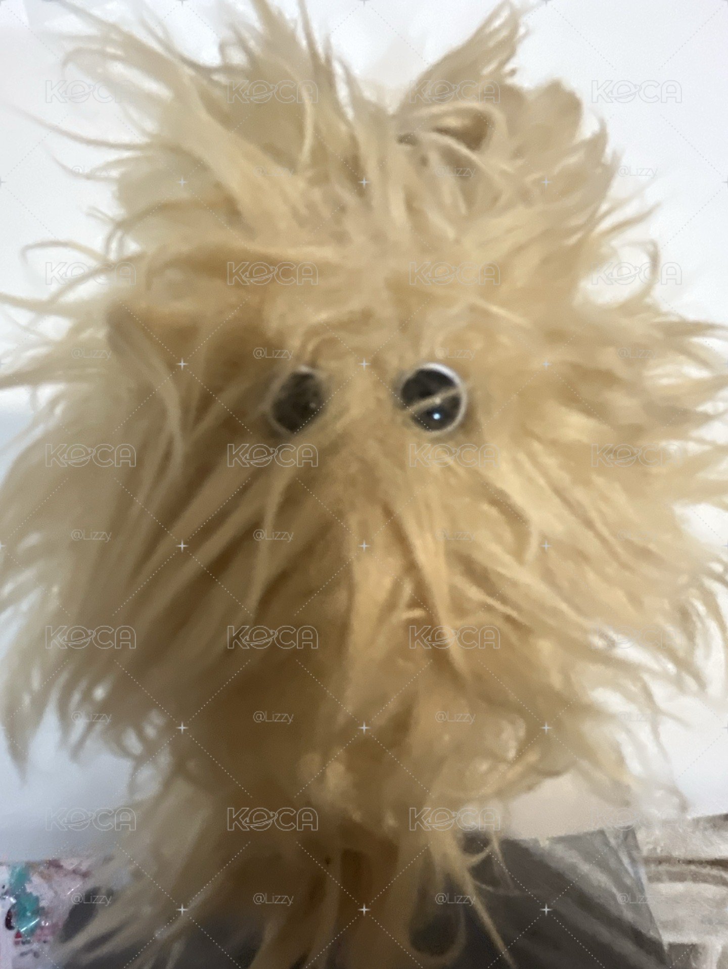裴水母