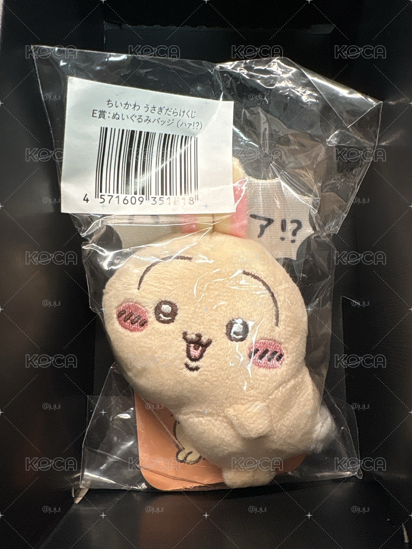 兔兔一番賞E賞別針 蛤？