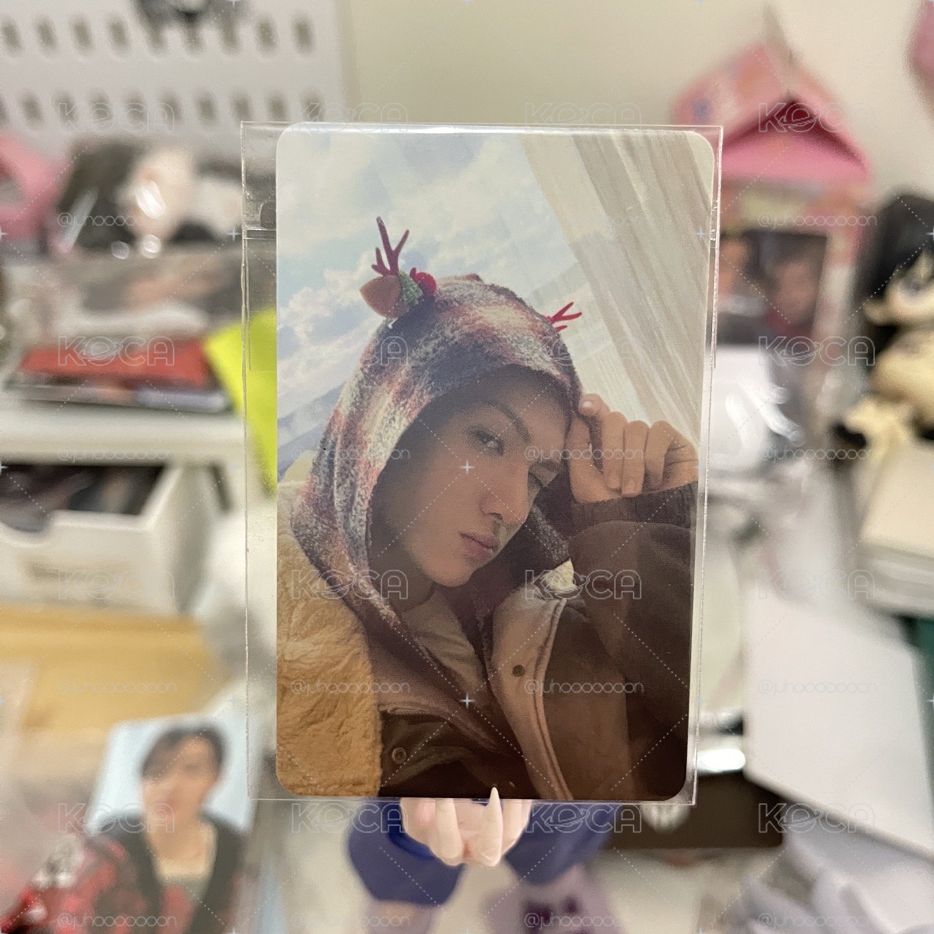 mp年末馬
